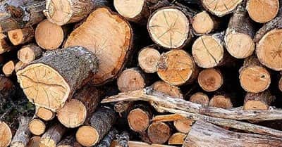 מרחבים טבעיים - חומרים ועזרים